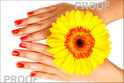 Show details for Poster # 064 Picture of Poster # 064