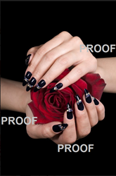 Show details for Poster # 079 Picture of Poster # 079