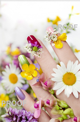 Show details for Poster # 097 Picture of Poster # 097