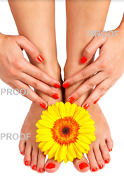 Show details for Poster # 163 Picture of Poster # 163