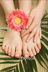 Show details for Poster # 164 Picture of Poster # 164