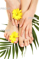 Show details for Poster # 170 Picture of Poster # 170