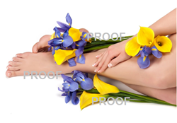 Show details for Poster # 176 Picture of Poster # 176