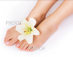 Show details for Poster # 204 Picture of Poster # 204