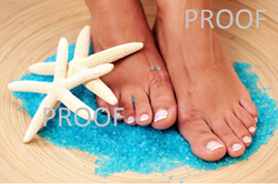 Show details for Poster # 235 Picture of Poster # 235