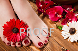 Show details for Poster # 250 Picture of Poster # 250