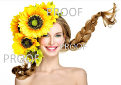 Show details for Poster # 293 Picture of Poster # 293