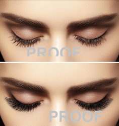 Show details for Poster # 325 Picture of Poster # 325