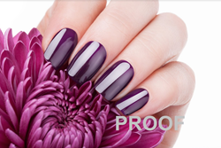 Show details for Poster # 351 Picture of Poster # 351